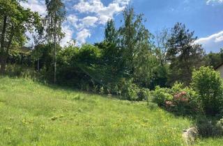 Grundstück zu kaufen in 8043 Graz, Graz - Andritz: Andritz: Idyllisches Grundstück mit Weitblick und Baubewilligung in Toplage Nahe Stoffbauer!