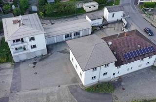Lager kaufen in 3660 Klein-Pöchlarn, Liegenschaft Kaufen in Klein-Pöchlarn: Grundstück (Wohngebiet) mit Wohnhaus, Büro & Lagerhalle
