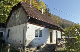 Haus kaufen in Steyr, 4452 Ternberg, Sanierungsobjekt, Haus am Waldrand