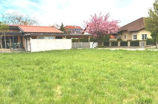 Grundstück zu kaufen in 2700 Wiener Neustadt, Unbebautes Grundstück mit 1.061 m² - zu Kaufen in 2700 Wiener Neustadt