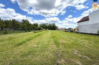 Grundstück zu kaufen in 3500 Krems an der Donau, Großzügiges Baugrundstück am Kremser Stadtrand