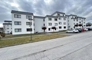 Wohnung mieten in 4312 Ried in der Riedmark, Helle 3-Zi-Wohnung mit Südbalkon in Ried, 75,8M², Miete € 643,77!