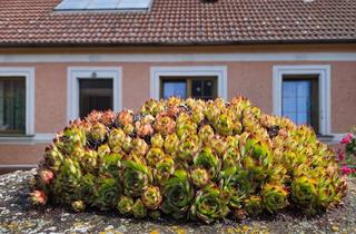 Bauernhäuser zu kaufen in 3820 Zemmendorf, Ehemaliges Bauernhaus mit Garten und Viel Potenzial