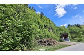 Gewerbeimmobilie kaufen in 3204 Kirchberg an der Pielach, Großes Waldgrundstück bei Kirchberg an der Pielach