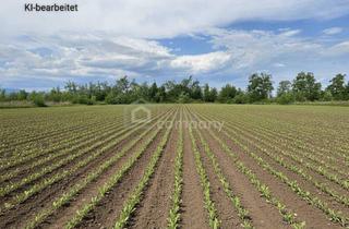 Gewerbeimmobilie mieten in 2601 Sollenau, Großes 2.944m² Landwirtschafts-Grundstück in Sollenau zu mieten – Top Lage!