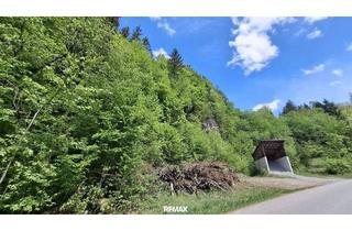 Gewerbeimmobilie kaufen in 3204 Kirchberg an der Pielach, Großes Waldgrundstück bei Kirchberg an der Pielach