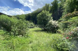 Grundstück zu kaufen in 3400 Klosterneuburg, Sonniges Grundstück mit Teilungsoption und Altbestand in Weidlingbach