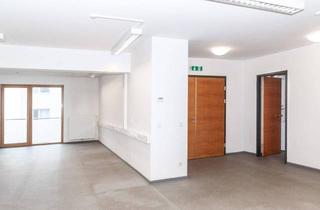 Büro zu mieten in 7100 Neusiedl am See, Büro- oder Praxisräume in der Unteren Hauptstraße in Neusiedl am See