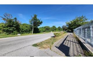 Immobilie mieten in Friedhofstraße, 2103 Langenzersdorf, Attraktive 350m² Gewerbefläche in 2103 Langenzersdorf - Wiener Stadtgrenze