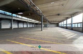Büro zu mieten in 5114 Mittergöming, Großzügige Lagerhalle mit Büroanteil in verkehrsgünstiger Lage
