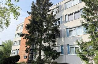 Wohnung kaufen in 2344 Maria Enzersdorf, Sanierungsbedürftige 3-Zimmer-Wohnung in ruhiger Grünlage der Südstadt