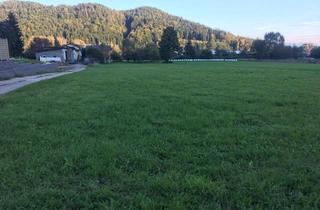 Grundstück zu kaufen in Moosweg, 9112 Griffen, Baugrundstücke in bester Lage