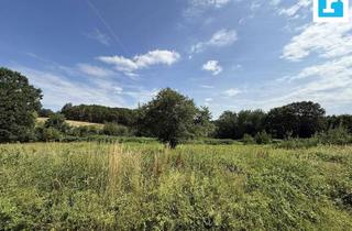 Grundstück zu kaufen in 7540 Güssing, Baugrundstück mit Weitblick in Krottendorf bei Güssing