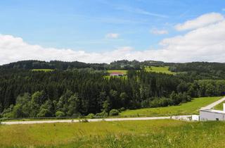 Grundstück zu kaufen in 4204 Haibach im Mühlkreis, Sonniges Baugrundstück mit Fernblick | 1.038 m² | kein Bauzwang | Privatverkauf
