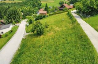 Grundstück zu kaufen in 4656 Kirchham, Besondere Form, Große Möglichkeiten - Idealer Baugrund Für ein Kompaktes Einfamilienhaus oder Tinyhouse.
