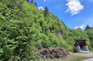 Grundstück zu kaufen in 3204 Kirchberg an der Pielach, Großes Waldgrundstück bei Kirchberg an der Pielach