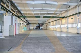 Büro zu mieten in 4060 Leonding, Lager-/Produktionshalle mit Büroflächen, Laderampe und Krananlagen in Leonding zu vermieten!