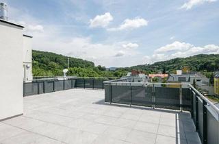 Wohnung mieten in Josef-Hoffmann-Gasse, 3002 Purkersdorf, Terrassentraum mit Weitblick - 4 Zimmer
