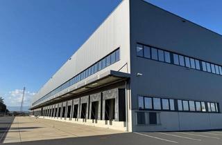 Büro zu mieten in 8141, Nordweg, 8141 Unterpremstätten, 8141, Nordweg Log Center - Neuwertige Lager-, Produktions- und Büroflächen zur Miete, Südlich von Graz