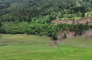 Immobilie kaufen in 9853 Gmünd, Jungwald am Krainberg