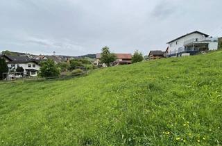 Grundstück zu kaufen in 6811 Göfis, sonnige Hanggrundstücke in Göfis zu verkaufen