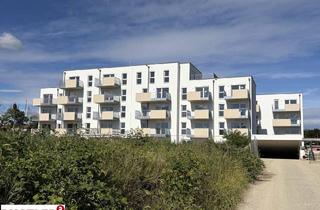 Wohnung kaufen in 2334 Vösendorf, Eigentumswohnung in Vösendorf