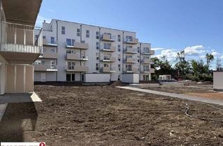 Wohnung kaufen in 2334 Vösendorf, Eigentumswohnung in Vösendorf