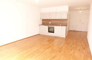 Wohnung mieten in Fernkorngasse, 1100 Wien, Großzügige Garçonnière - zwischen Matzleinsdorfer Platz und Waldmüllerpark