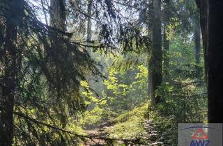 Gewerbeimmobilie kaufen in 4294 Sankt Leonhard bei Freistadt, Schöner Hochwald