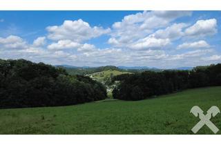 Gewerbeimmobilie kaufen in 8302 Nestelbach bei Graz, Landwirtschaftliche Nutzfläche (ca. 4,5ha) mit Waldanteilen und kleinem Gewässer
