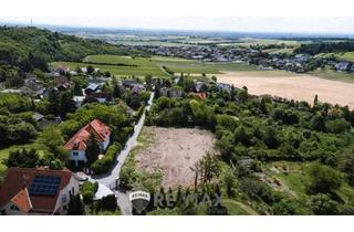 Grundstück zu kaufen in 2102 Hagenbrunn, "südseitig am Veigelberg!"