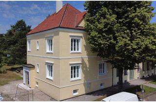 Haus mieten in 1210 Wien, Exklusive Altbauvilla in Strebersdorf – Erstbezug nach umfassender Sanierung