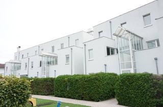 Wohnung mieten in Bader Moser Straße 12/3, 4563 Micheldorf, 3 Zimmer Erdgeschosswohnung in Micheldorf mit Garage