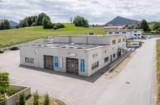 Lager mieten in 5321 Koppl, Gewerbeflächen im Motor Business Park