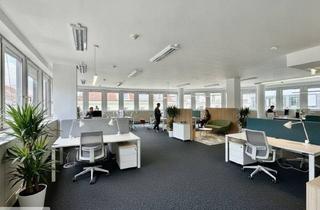 Büro zu mieten in Wiedner Hauptstraße, Laurenzgasse, 1050 Wien, Modernes Büro // Hell und Flexibel // Wiedner Hauptstrasse