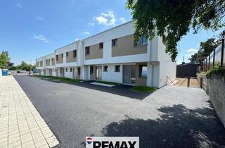 Wohnung kaufen in 2504 Sooß, Provisionsfrei für den Käufer! - "Schau Schatzi, eine Wohnung wie ein Haus! Auch MIETKAUF möglich!"