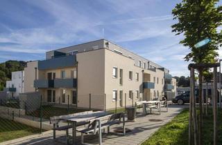 Wohnung mieten in Rosengasse, 3033 Altlengbach, Moderne, südwestseitig gelegene Gartenwohnung