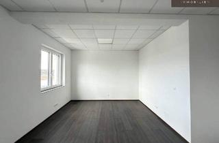 Büro zu mieten in 3462 Absdorf, Büro oder Praxis - Neubau und Erstbezug - ALL IN MIETE