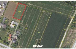 Grundstück zu kaufen in 8280 Hartl bei Fürstenfeld, Sonniges, ebenes Baugrundstück in Altenmarkt bei Fürstenfeld