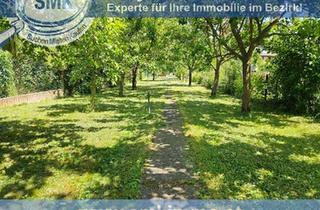Grundstück zu kaufen in 2136 Laa an der Thaya, Freizeitgrundstück – RATENKAUF möglich!
