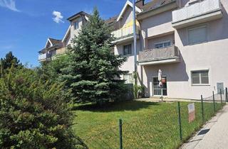Wohnung kaufen in 2604 Theresienfeld, Barrierearmes Wohnen im Alter mit eigenem Garten in Theresienfeld