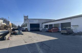 Gewerbeimmobilie mieten in 4221 Steyregg, Lager- und Produktionsfläche in Steyregg