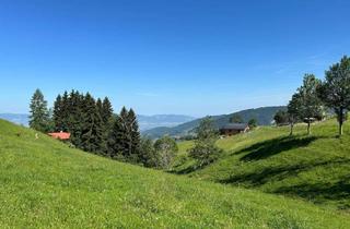 Grundstück zu kaufen in Furx, 6835 Batschuns, Bergtraum mit Seltenheitswert