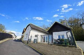 Einfamilienhaus kaufen in 2215 Raggendorf, Zwei Häuser ? eine seltene Gelegenheit!
