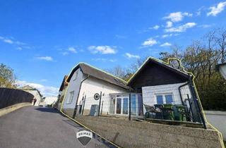 Einfamilienhaus kaufen in 2215 Raggendorf, Zwei Häuser – eine seltene Gelegenheit!