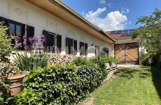 Haus kaufen in 7503 Großpetersdorf, Ruheoase: Herrlicher Streckhof mit traumhaftem Schwimmteich!