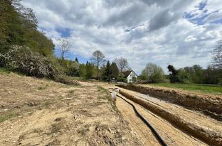 Grundstück zu kaufen in 8510 Stainz, Platz Für Familie, Garten und Zukunft - Baugrundstück Nahe Stainz