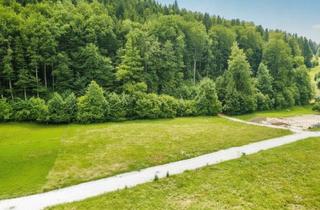 Grundstück zu kaufen in 4645 Grünau im Almtal, Naturverbunden Leben: Baugrund mit Landwirtschaftlicher Nutzfläche ohne Bauzwang!