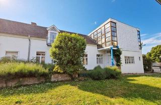 Mehrfamilienhaus kaufen in 2123 Unterolberndorf, Mehr ist Mehr - Understatement vor den Toren Wiens