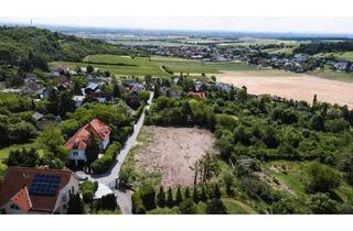 Grundstück zu kaufen in 2102 Bisamberg, "südseitig am Veigelberg!"